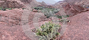 Morocco, Africa, Dades Valley, clay village, old town, ancient, travel, panoramic, view