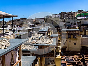 Morocco, Africa, Fez, Leather dyehouses of the city of Fez