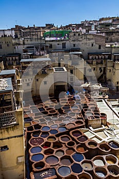 Morocco, Africa, Fez, Leather dyehouses of the city of Fez