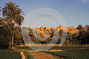Morocco city skyline