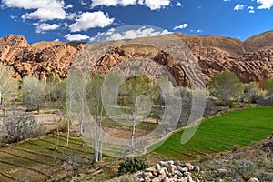 Morocco Dades valley agricultural fields