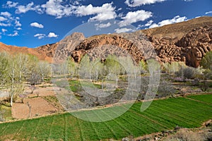 Morocco Dades valley farming