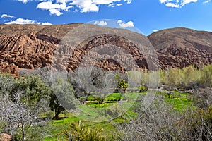 Morocco Dades valley photo
