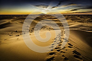 Marocco deserto 