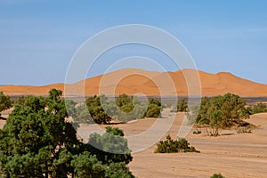 Morocco.  Desert landscape with dunes