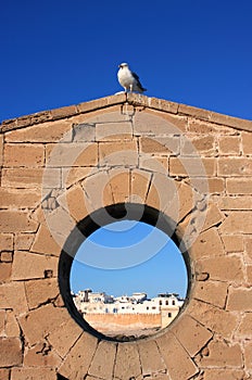 Morocco Essaouira kasbah and Skala