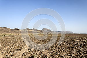 Morocco, Hamada du Draa, path