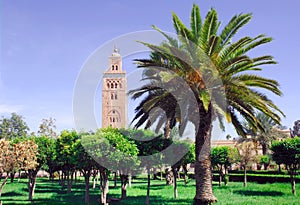 Morocco, Marrakech: the Koutoubia