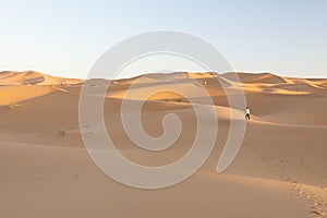 Morocco, Merzouga, Erg Chebbi Dunes