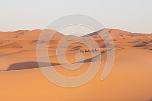 Morocco, Merzouga, Erg Chebbi Dunes, Tourists Riding Camels