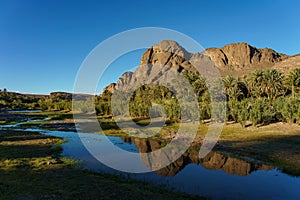 Morocco. Oasis of Fint. River and palm groove