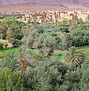 Morocco, thousand Kasbahs area