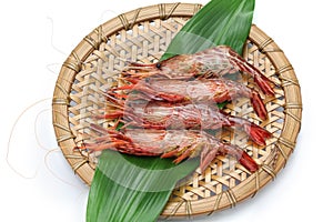 Morotoge shrimp, shima ebi, japanese seafood
