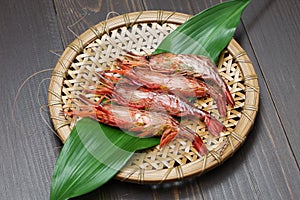Morotoge shrimp, shima ebi, japanese seafood photo