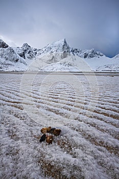 Morpheus beach in Lofoten with tidel sand patterns, Stortind mountain peak at the background