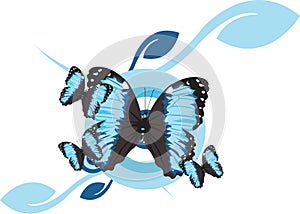 Morpho Butterfly