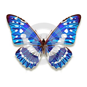Morpho cypris butterfly illustration with iridescent blue wings