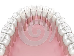 Morphology of human teeth. Medically accurate tooth 3D illustration