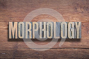 Morphology word wood