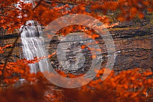 Morricana Waterfalls in Monti della Laga, Abruzzo, Italy, in the full autumn season with red and orange leaves