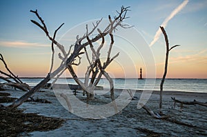 Morris Island Lighthouse in the distance, framed by bare trees at sunset