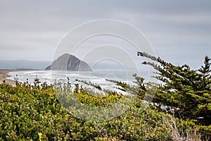 Morro Bay Beach & Boardwalk