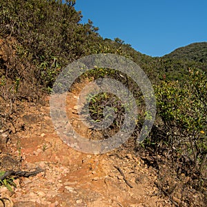 Morro do Bonet steep trail