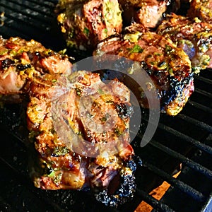 Morroccan Lamb Chops in the Grill