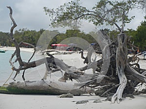 Morrocoy National Park - Venezuela