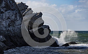 Morrow bay rocks and pacific ocean