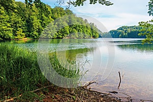 Morske Oko lake among primeval beech forest