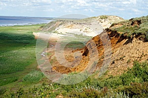 Morsum sandy cliff grass