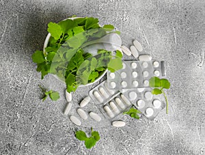 Mortar with fresh green celandine and pills on light grey table, flat lay