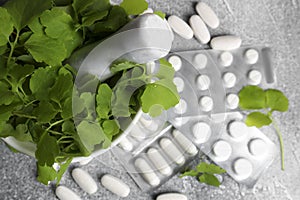 Mortar with fresh green celandine and pills on light grey table, top view