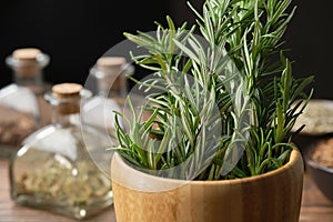 Mortar of fresh rosemary medicinal herbs. Bottles of dry herbs for preparing healing infusions, bowls of medicinal plants on