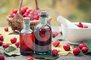 Mortar of hawthorn berries, two tincture or infusion bottles and basket of thorn apples on wooden board.