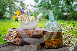 Mortar of healing herbs, bottle of healthy essential oil or infusion, old books and bunch of chamomile plant.