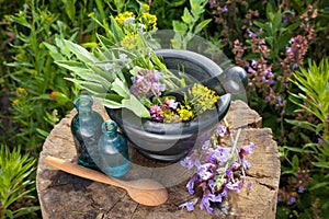 Mortar with healing herbs and sage, bottles of essential oil