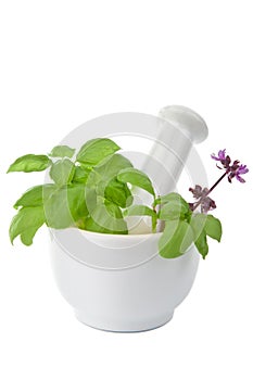 Mortar with herbs isolated