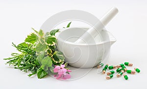 Mortar, herbs and pills on white background