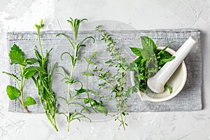 Mortar with herbs and spices. Fresh herbs selection included rosemary, thyme, mint, lemon balm, parsley and arugula