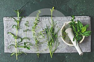 Mortar with  herbs and spices. Fresh herbs selection included rosemary, thyme, mint, lemon balm, parsley and arugula. Overhead