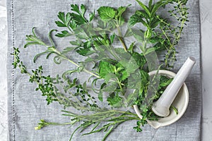 Mortar with  herbs and spices. Fresh herbs selection included rosemary, thyme, mint, lemon balm, parsley and arugula. Overhead