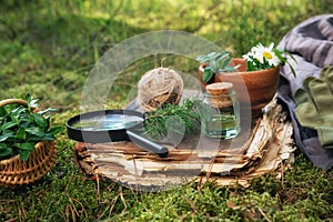 Mortar of medicinal herbs, old book, infusion bottle, basket and magnifying glass on a green moss in forest. photo