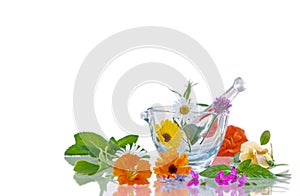 Mortar and pestel with beautiful fresh medicinal flowers for alternative treatment on wooden