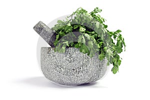 Mortar, pestle and coriander