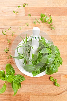 Mortar, pestle and fresh culinary herbs.