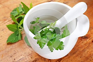 Mortar and pestle with fresh herbs