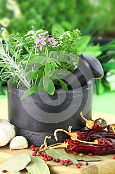 Mortar and pestle with fresh herbs