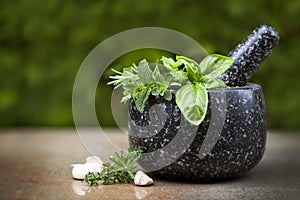 Mortar and Pestle with Fresh Herbs